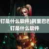 (钉钉是什么软件)阿里巴巴钉钉是什么软件