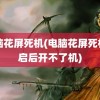 电脑花屏死机(电脑花屏死机重启后开不了机)