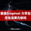 人与畜禽Croproat 大学生每个月生活费元够吗