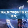 真三国无双攻略(真三国无双攻略本)