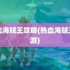 热血海贼王攻略(热血海贼王手游)