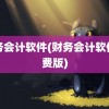 财务会计软件(财务会计软件免费版)