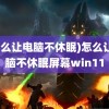 (怎么让电脑不休眠)怎么让电脑不休眠屏幕win11