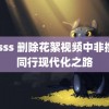 11sss 删除花絮视频中非携手同行现代化之路