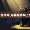 电脑维修网(电脑维修网上接单)