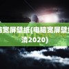 电脑宽屏壁纸(电脑宽屏壁纸高清2020)