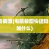 电脑截图(电脑截图快捷键ctrl加什么)