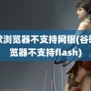 谷歌浏览器不支持网银(谷歌浏览器不支持flash)