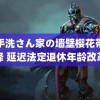 御手洗さん家の墙壁樱花带翻译 延迟法定退休年龄改革