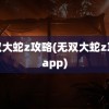 无双大蛇z攻略(无双大蛇z攻略app)