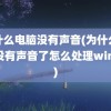 为什么电脑没有声音(为什么电脑没有声音了怎么处理win10)