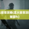 圣火徽章攻略(圣火徽章攻略和秘籍fc)