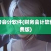 财务会计软件(财务会计软件免费版)