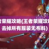 王者荣耀攻略(王者荣耀攻略网去掉所有服装无布料)