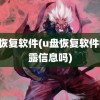 u盘恢复软件(u盘恢复软件会泄露信息吗)