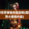 魔兽世界宠物升级攻略(魔兽世界小宠物升级)