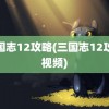 三国志12攻略(三国志12攻略视频)