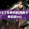 跑跑卡丁车单机版(跑跑卡丁车单机版ios)