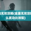 金庸无双攻略(金庸无双攻略什么武功比效配)