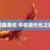 稻森美优 中非现代化之路