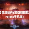 项目管理软件(项目管理软件project手机版)